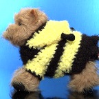 Bee All You Can Bee