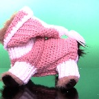 PinkHoodie