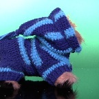 Striped Blue Hoodie