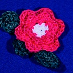 Flower-4