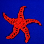 Starfish