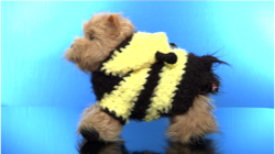 Bee All You Can Bee
