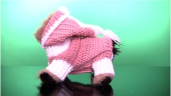 Pink Hoodie