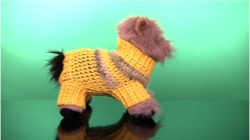 Yellow Turtleneck