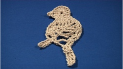 Partridge